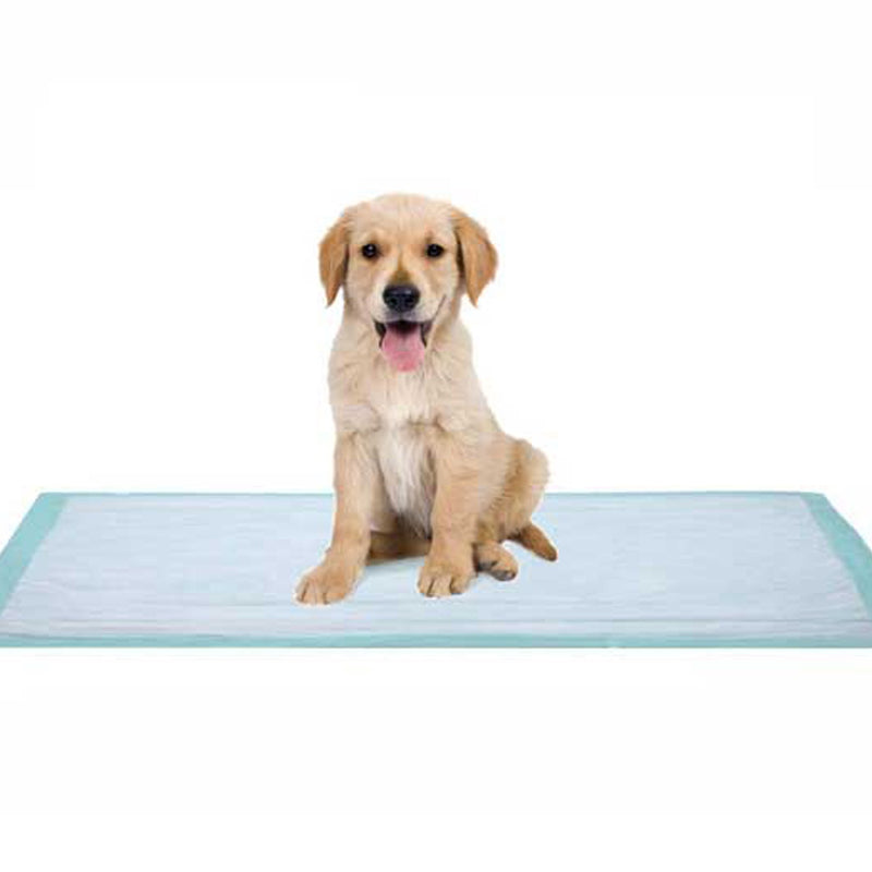 Dukal Fluff Underpad, 17 x 24 Inch
