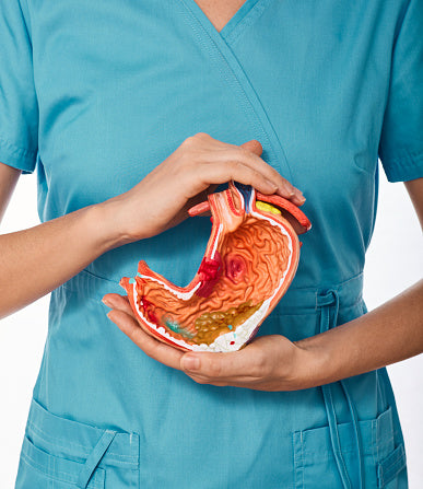 The Importance of Gastroenterological Care For a Healthy Lifestyle