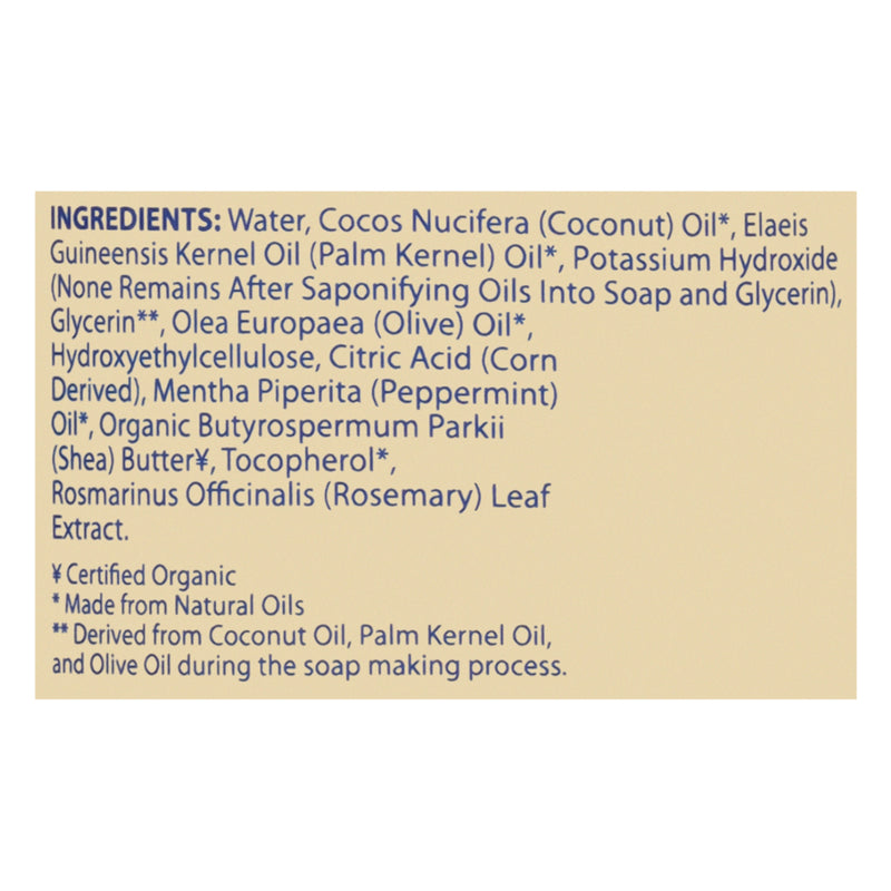 Dr. Natural - Castile Liquid Soap Peppermt - 1 Each 1-32 Fz