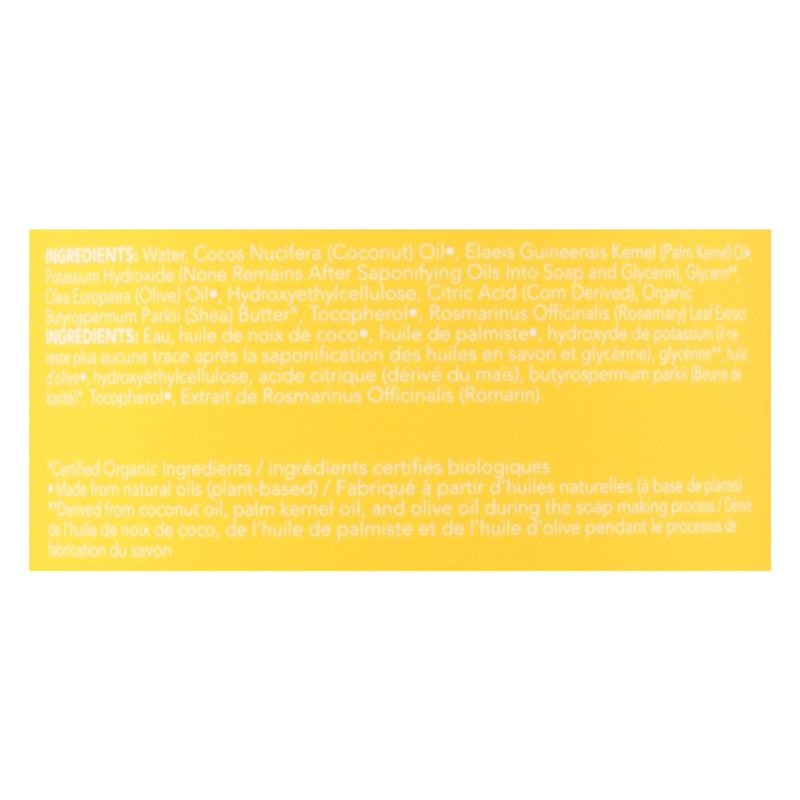 Dr. Natural - Castile Liquid Soap Uns Baby - 1 Each 1-32 Fz