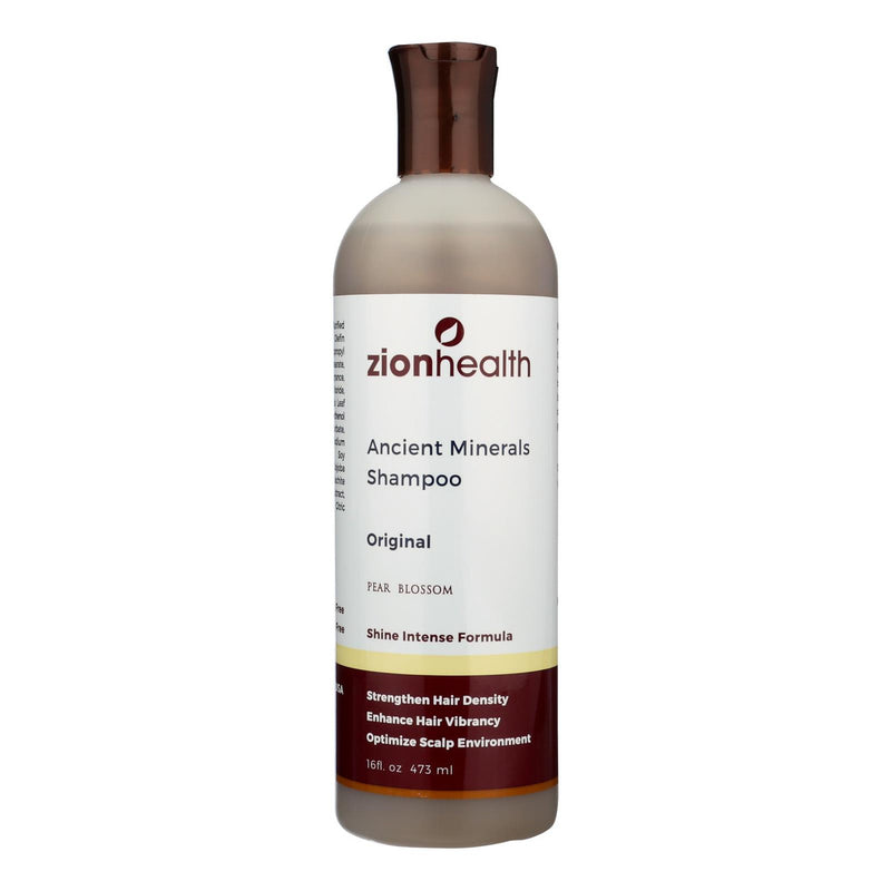 Zion Health Adama Clay Minerals Shampoo - 16 fl oz (1x16 FZ)