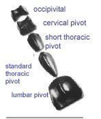 Pivotal Therapy System Short Thoracic