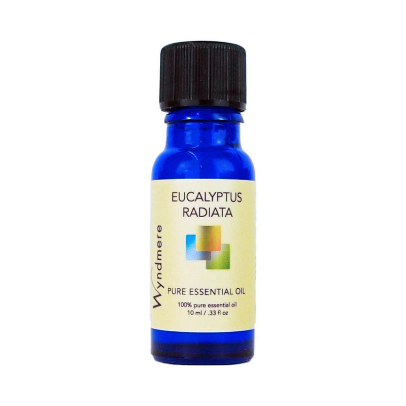 Eucalyptus radiata - 10ml bottle of Wyndmere Eucalyptus radiata Essential Oil with a penetrating and cleansing aroma