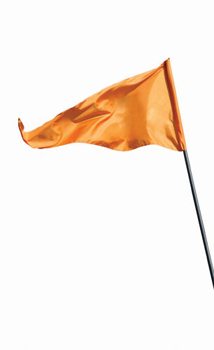Flag for Golden Scooter