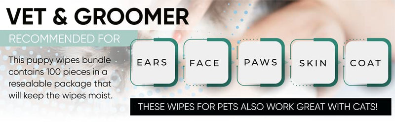 MagiCare® Made in USA Pet Dog Cat Large Cleaning Wipes (100ct), 16 Packs/Case