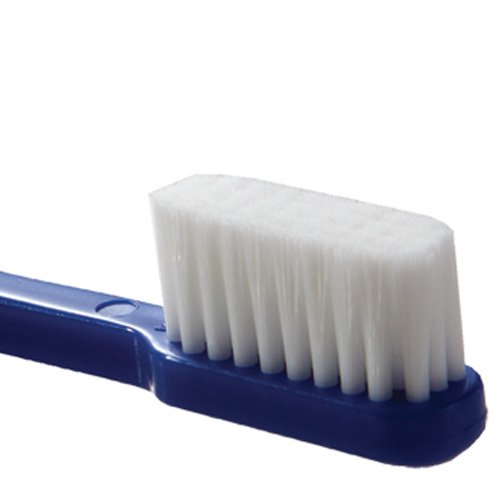 Toothette® Toothbrush
