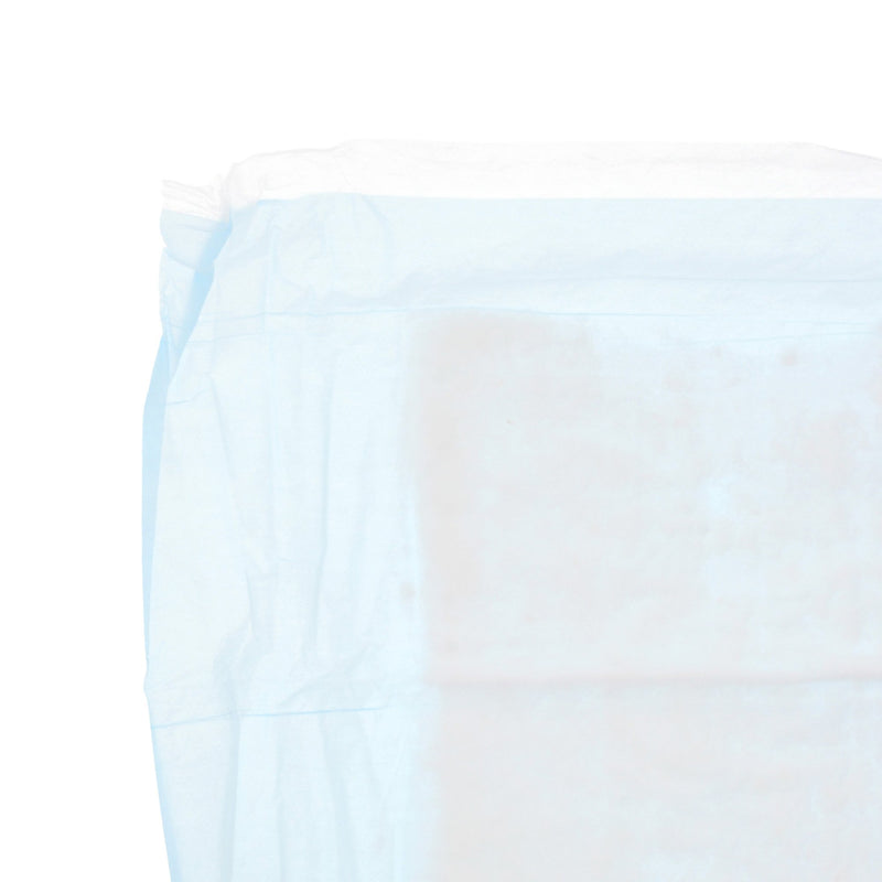 Wings™ Plus Heavy Absorbency Underpad, 23 x 36 Inch