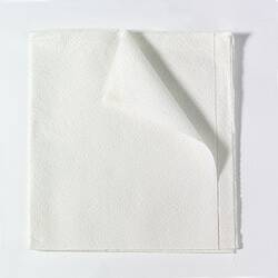 Encore Sterile Sheet General Purpose Drape, 40 W x 48 L Inch