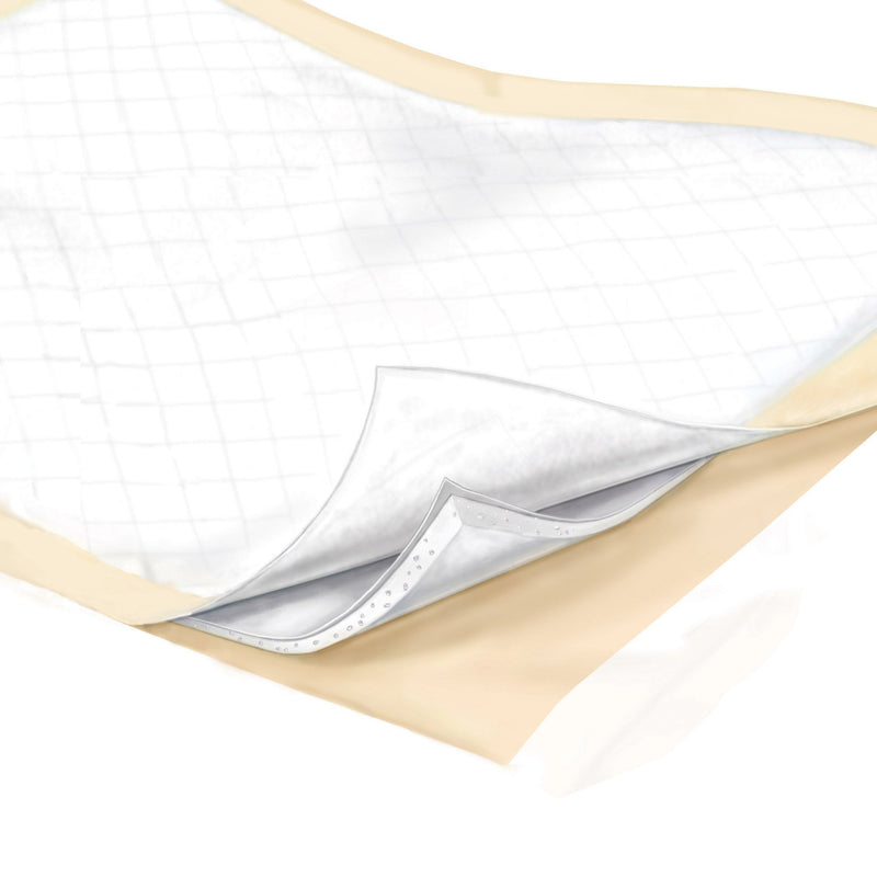 Wings Plus Underpads, Disposable, Heavy Absorbency, Beige, 23 X 36 Inch